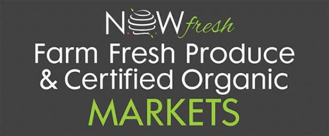 Now fresh Logo